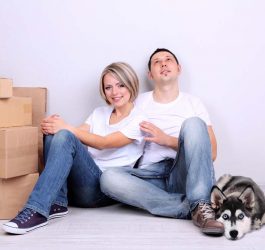 Tips on How to Move to London With Pets