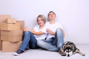 Tips on How to Move to London With Pets