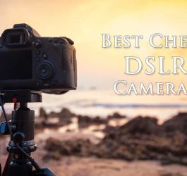 Best Cheap DSLR Cameras
